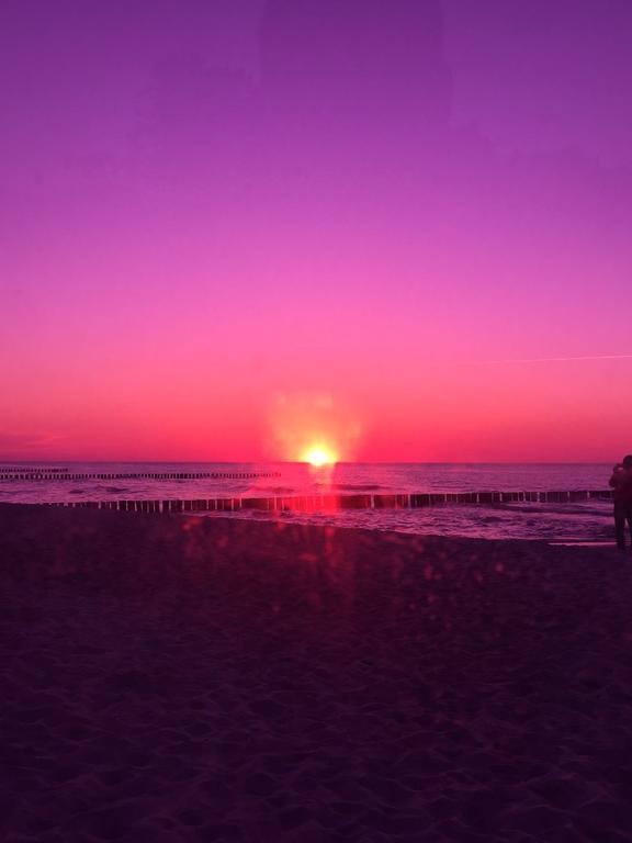 Ferienwohnungen Hofmann Zingst Exteriör bild