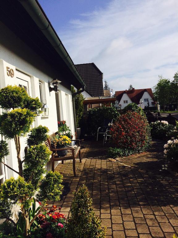 Ferienwohnungen Hofmann Zingst Rum bild